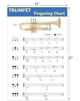 トランペット 本体 ケース付き　教則本　運指練習機 Amazon | QMG トランペット運指チャート 色分けされたメモ付き